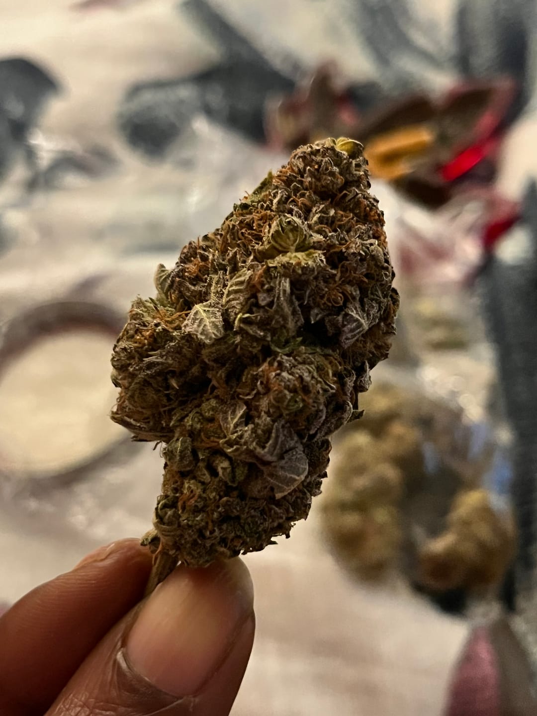 Customer photo review of Good Day - 14 Grams - Platinum Bubba - Indica