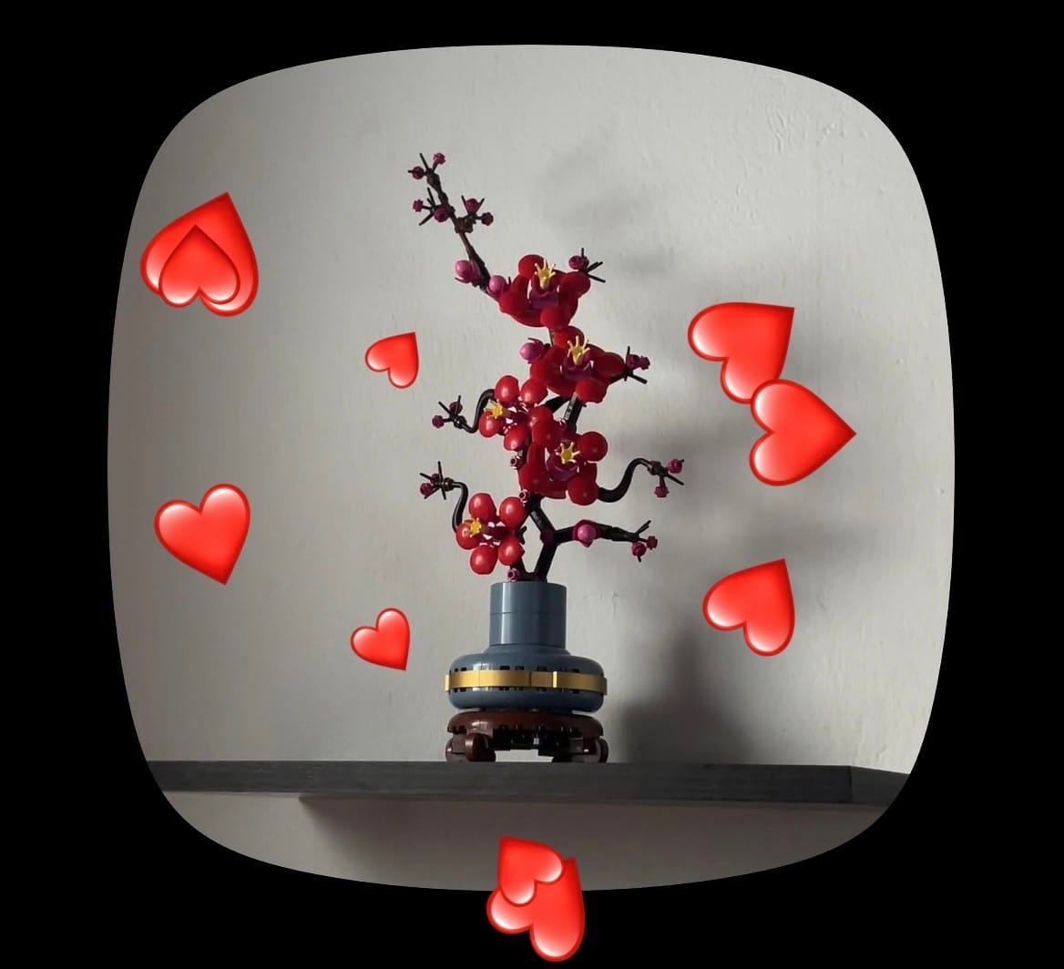 Customer photo review of FLOR DE CIRUELO