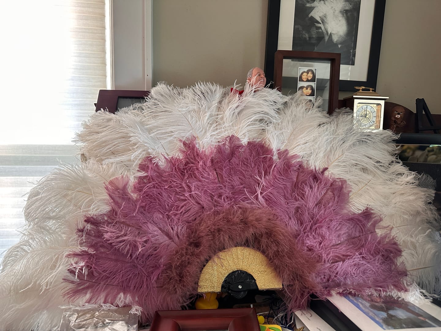 Customer photo review of Ostrich Feather Tail Plumes 11-14" (Dusty Rose)