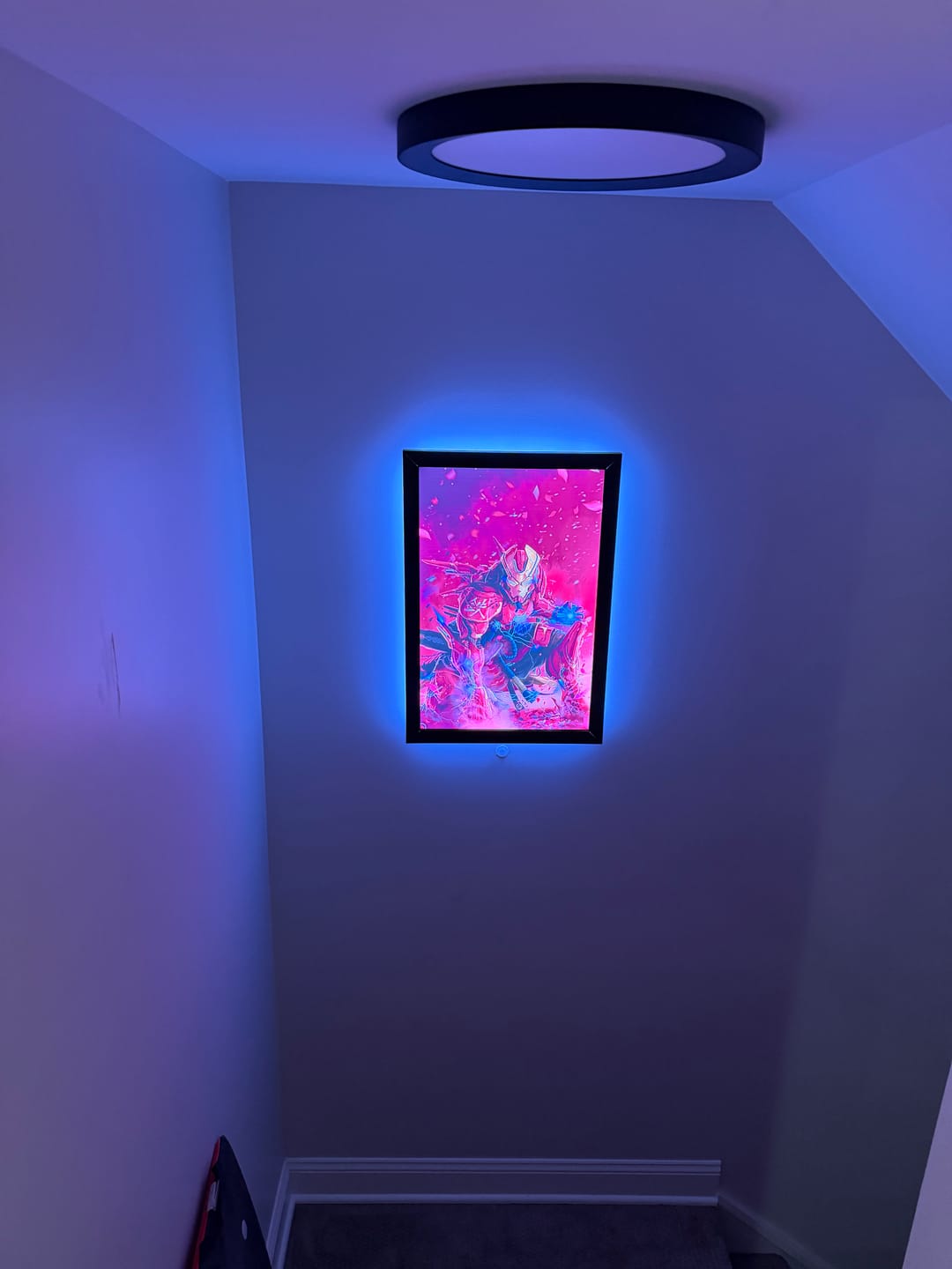 Customer photo review of Lightbox Frame (16x24 in)
