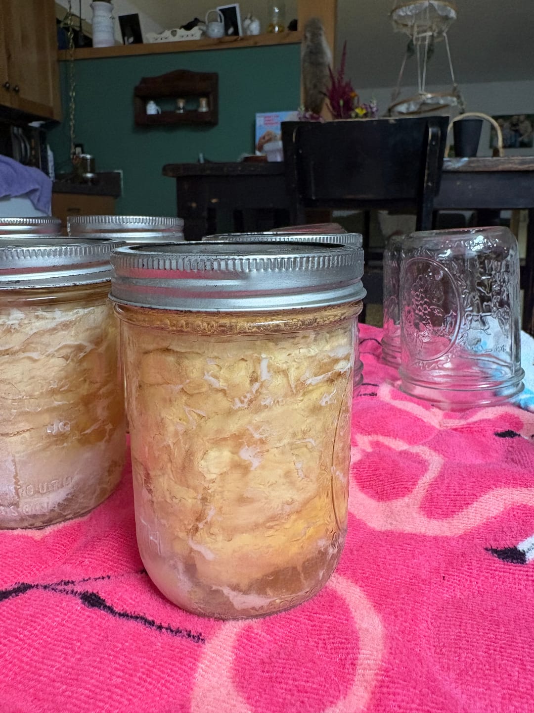 Customer photo review of THE TANKER™ 23 Quart Pressure Canner & Cooker by Denali