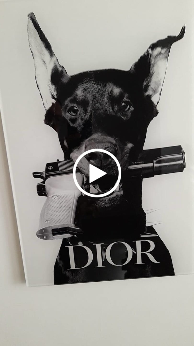 Customer video review of Dior Dog