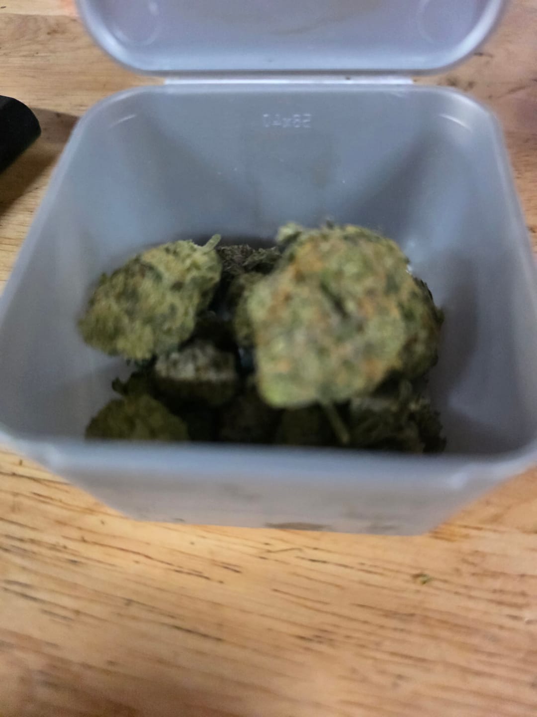 Customer photo review of Biscotti THCA Flower (Premium)