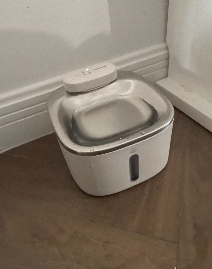 Customer photo review of Oneisall 3.5L Kabelloser Edelstahl Trinkbrunnen für Katzen mit 3 Filtern