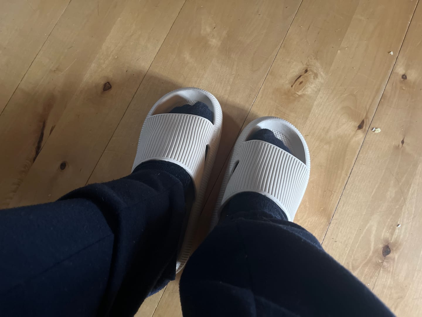 Customer photo review of HappyFlops Original
