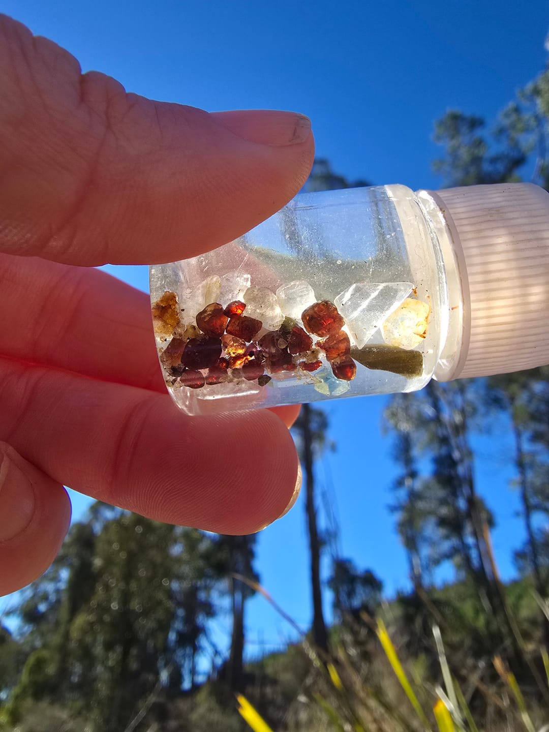 Customer photo review of Mid size nugget Bottle