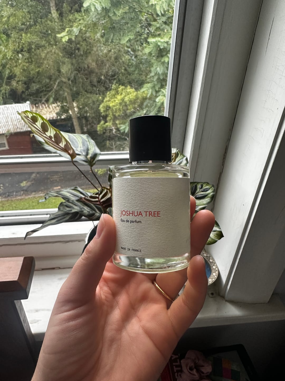 Customer photo review of Joshua Tree