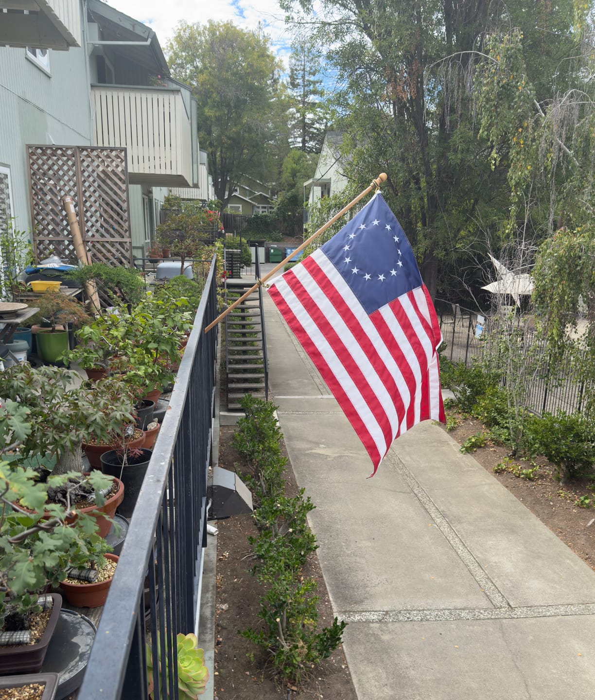 Customer photo review of 3' x 5' Betsy Ross Flag Set