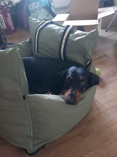 Customer's black and tan dog resting comfortably inside the sage green Dog Dock V2.