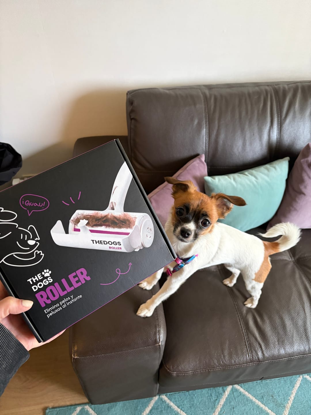 Customer photo review of Roller quita pelos THE DOGS