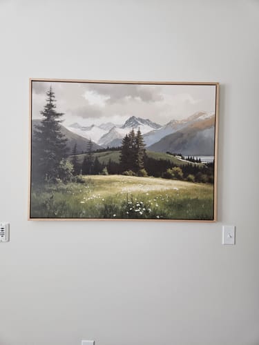 Customer's horizontal Alpine Meadow Canvas Art with a light wood frame hanging on a plain wall.