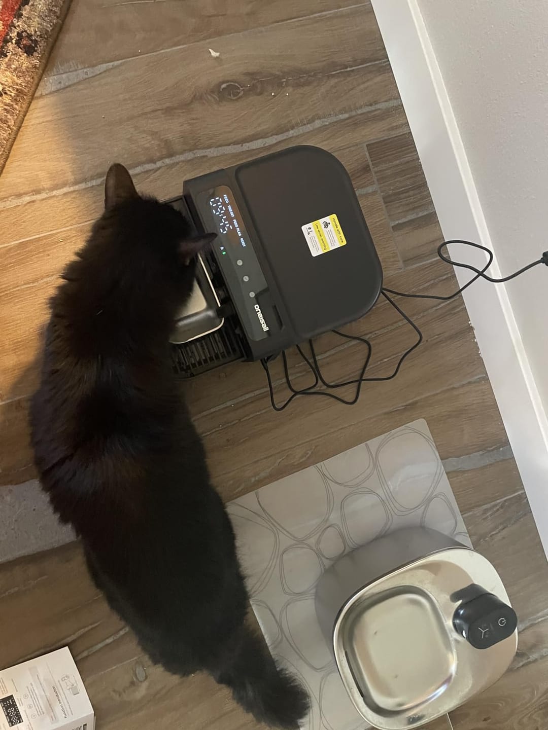 Customer photo review of Oneisall 3,5L FreshFill Filterloser Katzen-Trinkbrunnen mit Frischwassersystem