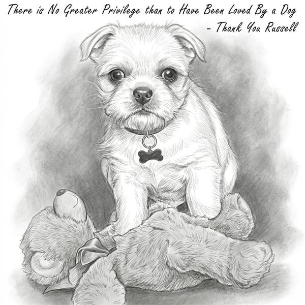Customer photo review of Custom Pencil Sketch Pet From Your Photo