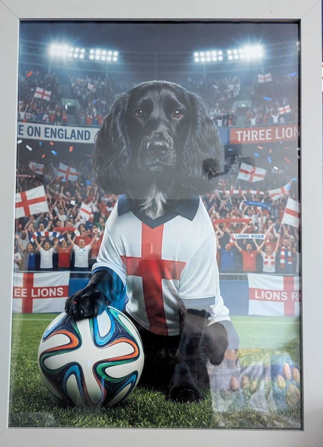 Customer photo review of World Cup - Personalised Poster