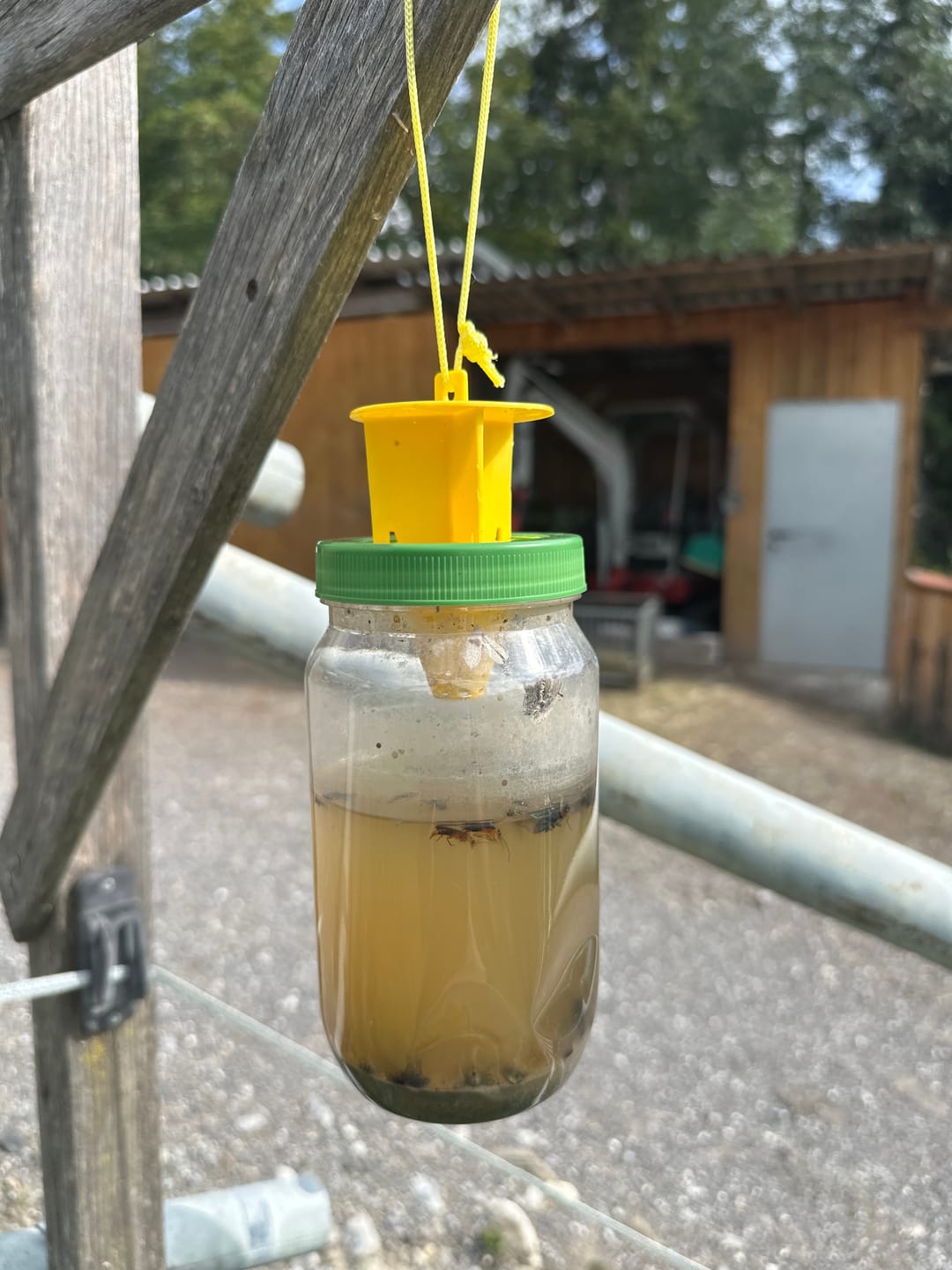 Customer photo review of HorseSafe LiquidTrap – Schluss mit Fliegenstress auf deinem Hof
