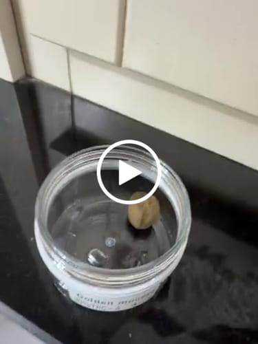 Customer video review of THC-A 30% Hash Golden Mousse