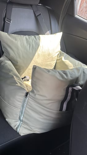 Customer's plush, light green Dog Dock installed in the back seat of a car, showing the interior and straps.