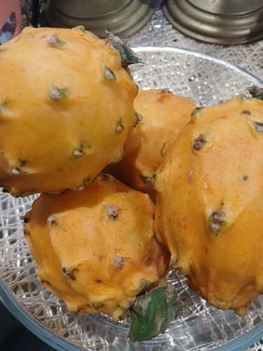Customer photo review of Yellow Dragon Fruit