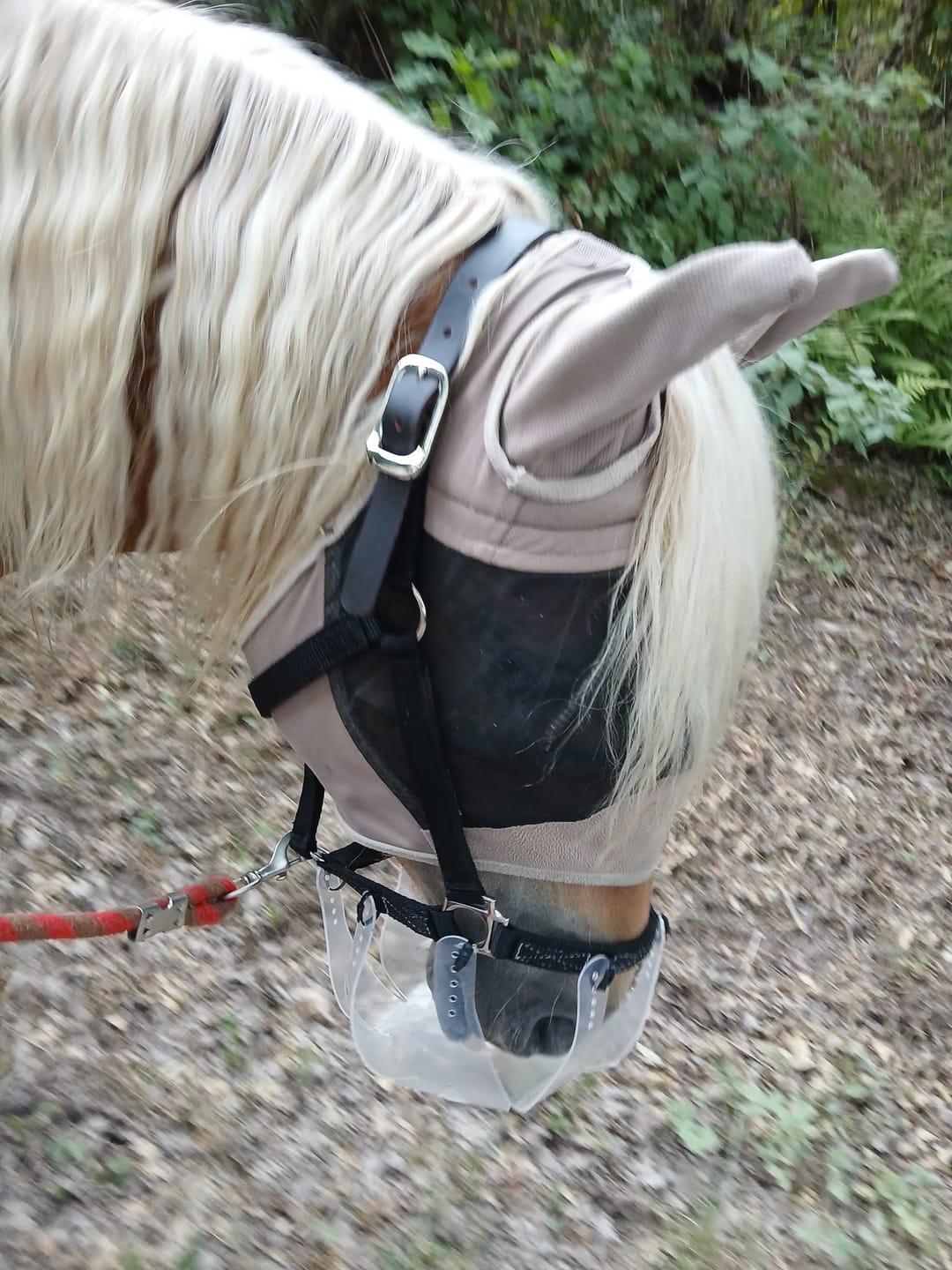 Customer photo review of ThinLine Flexible Fressbremse