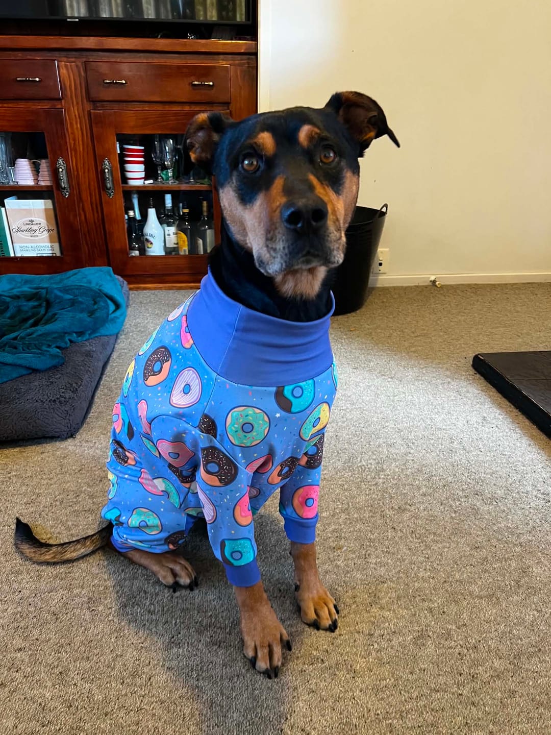 Customer photo review of Dog Pajama - Donuts