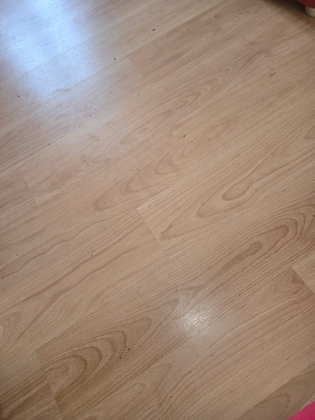Customer photo review of EcoTrappe - Attrape-Mouche Électrique