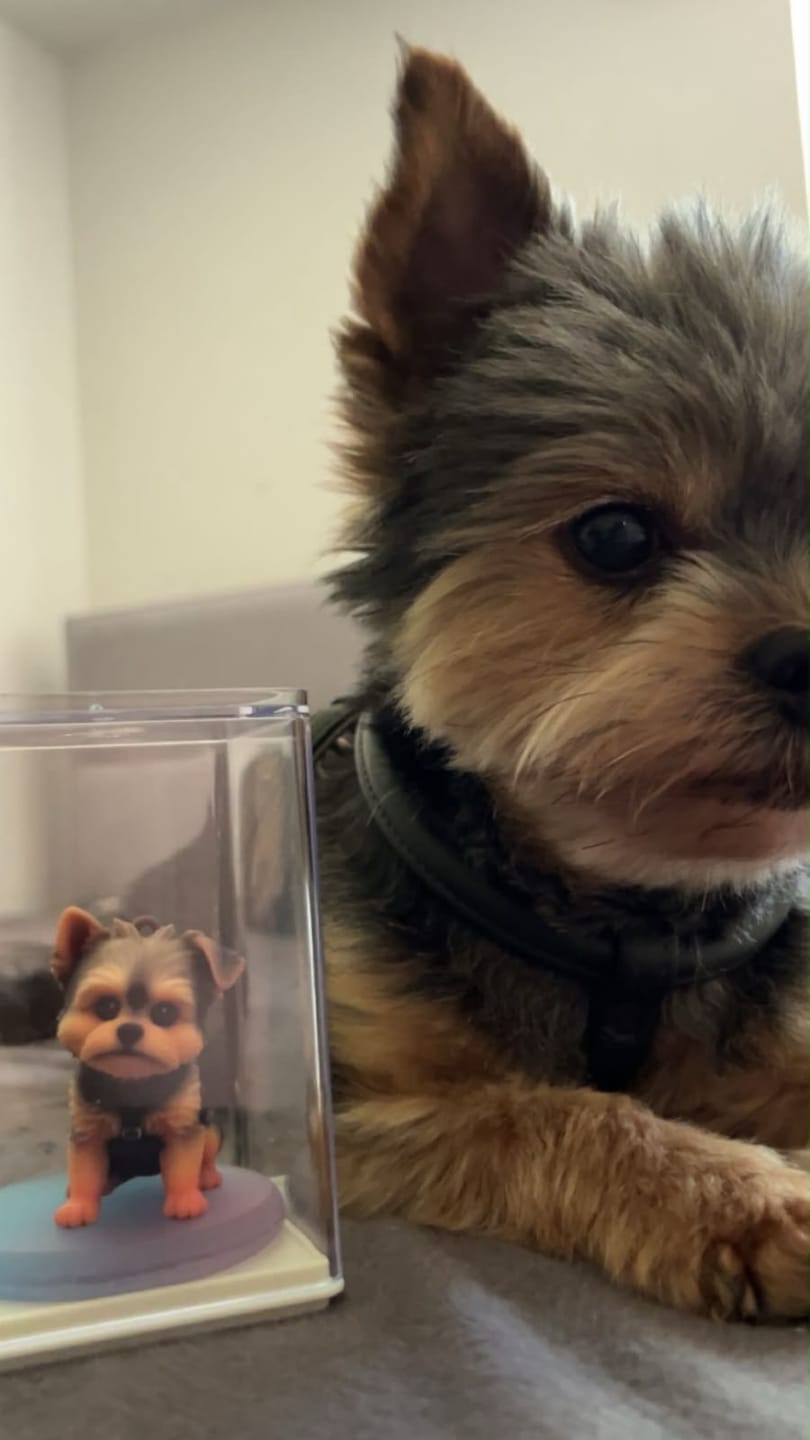 Customer photo review of Custom 3D Pet Figure Keychain & Bag Charm - Take Them Everywhere