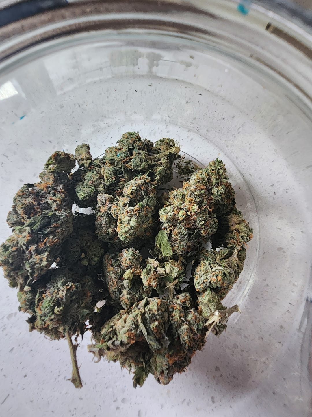Customer photo review of Headband THCA Flower (Exotic)