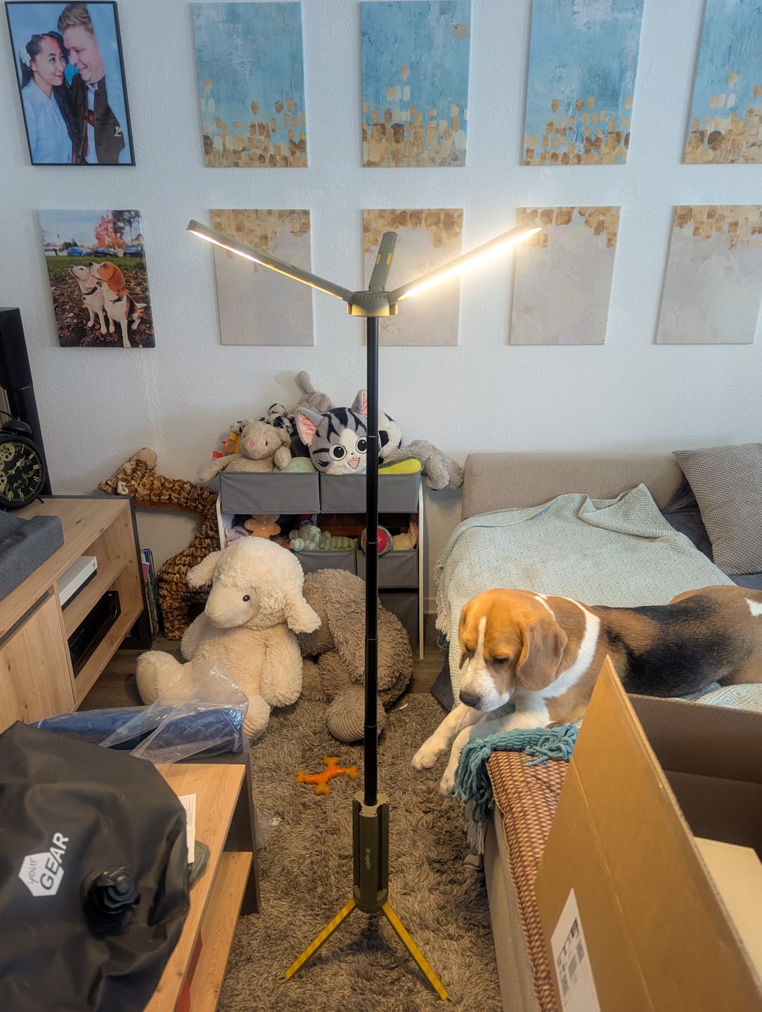 Customer photo review of BougeRV faltbare Campinglampe, wasserdichtes Campinglicht für Zelt, Reisen und Notfälle.