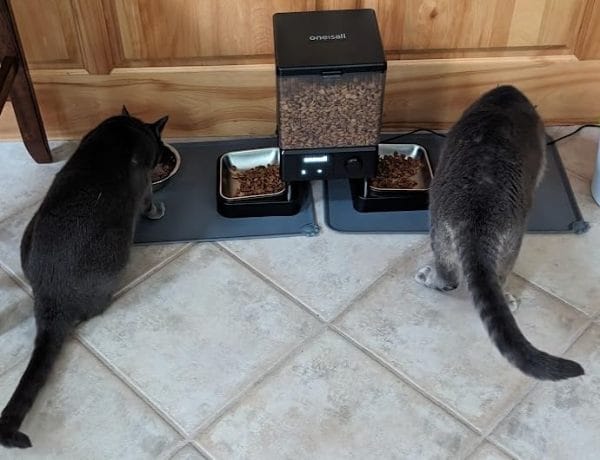 Customer photo review of Oneisall 5L Automatischer Katzenfütterer mit App-Steuerung für zwei Katzen