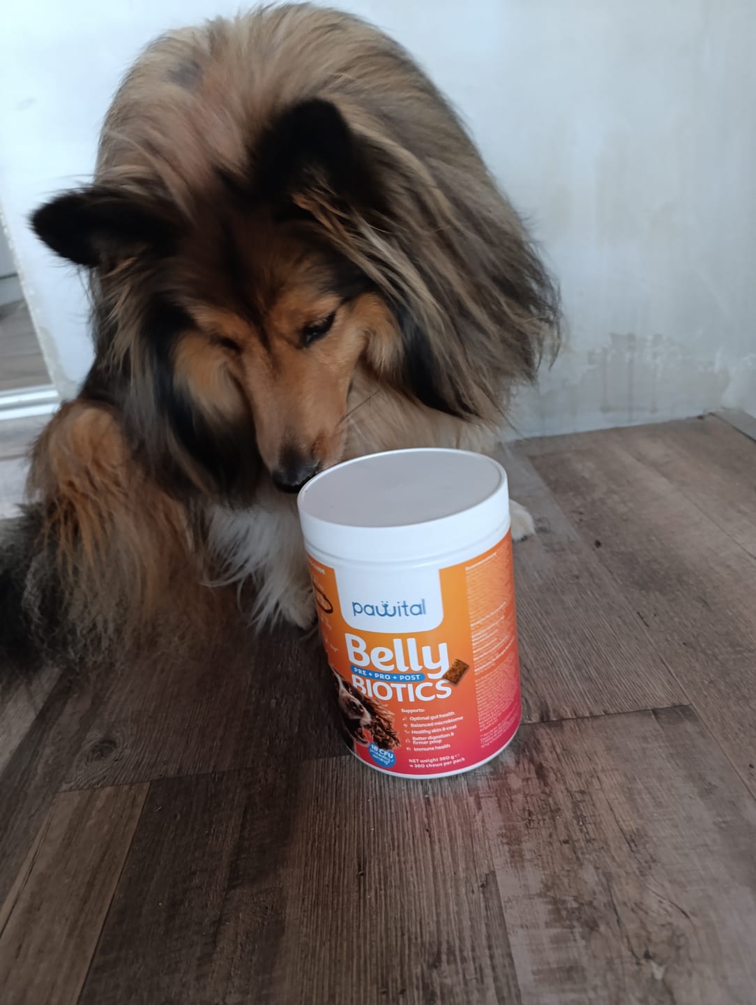 Customer photo review of Belly Biotics (360 priboljškov)