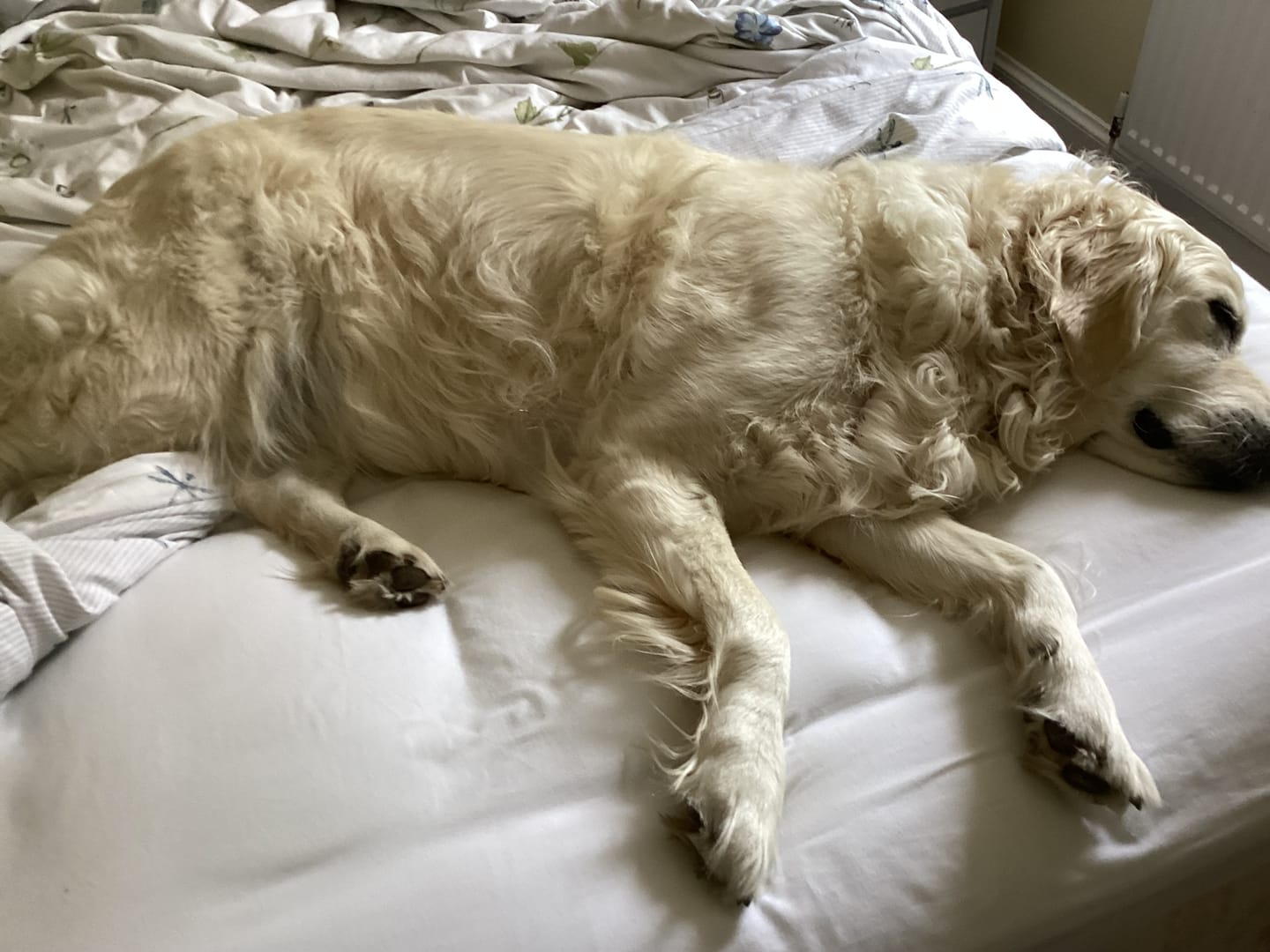 Customer photo review of CloudTopper™ Luxury Thick Mattress Topper