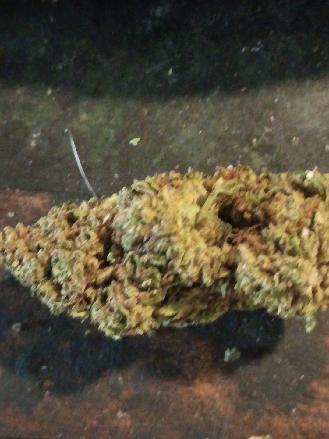 Customer photo review of Bubba Kush - 28 Grams - Indica