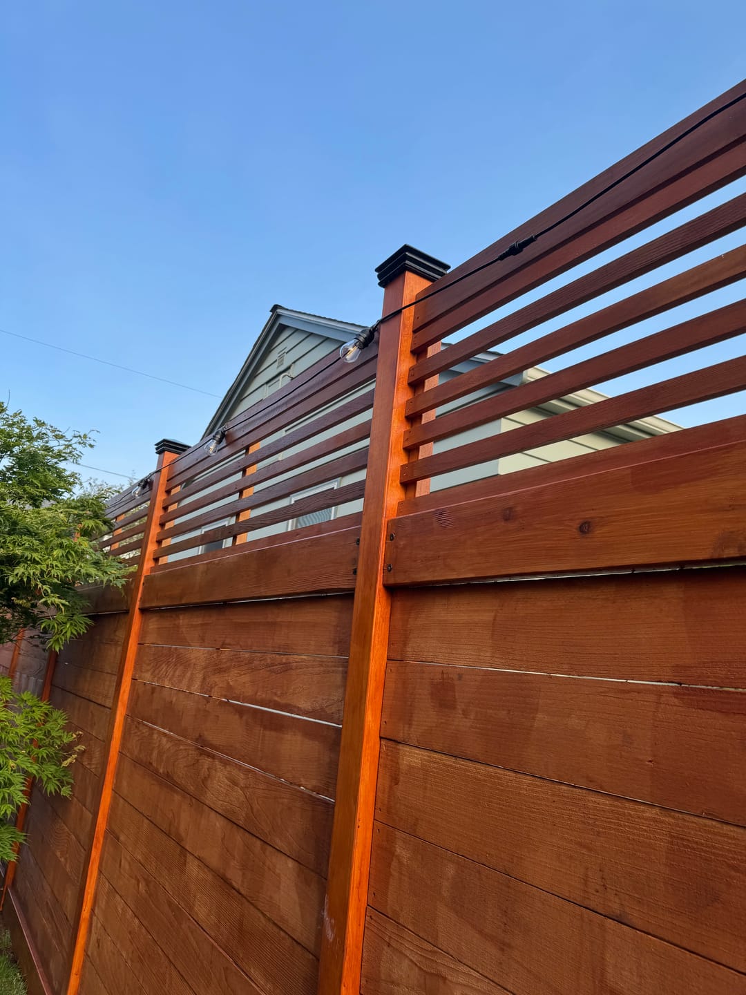 Recensione con foto di un cliente sulle luci a filo con lampadine solari Premium - 33 ft (10 m)