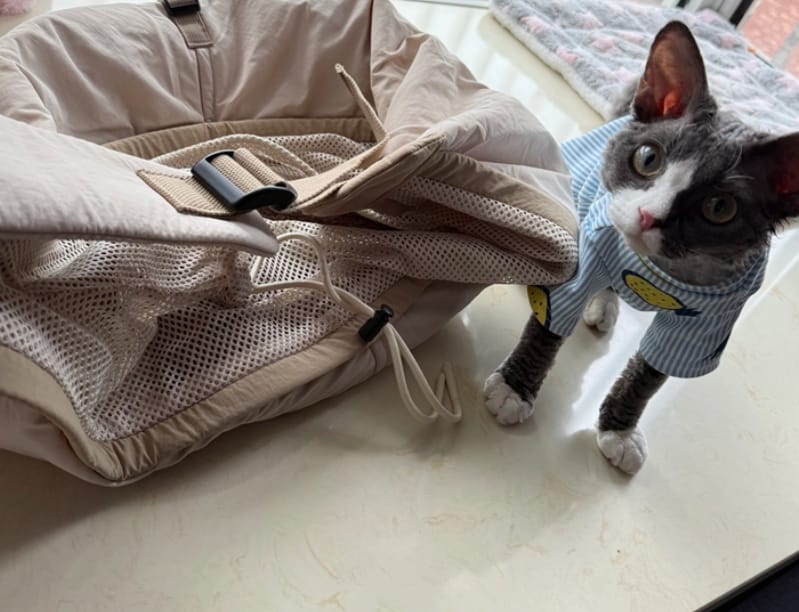 Customer photo review of Ergonomic Portable Hands-Free Pet Sling Carrier