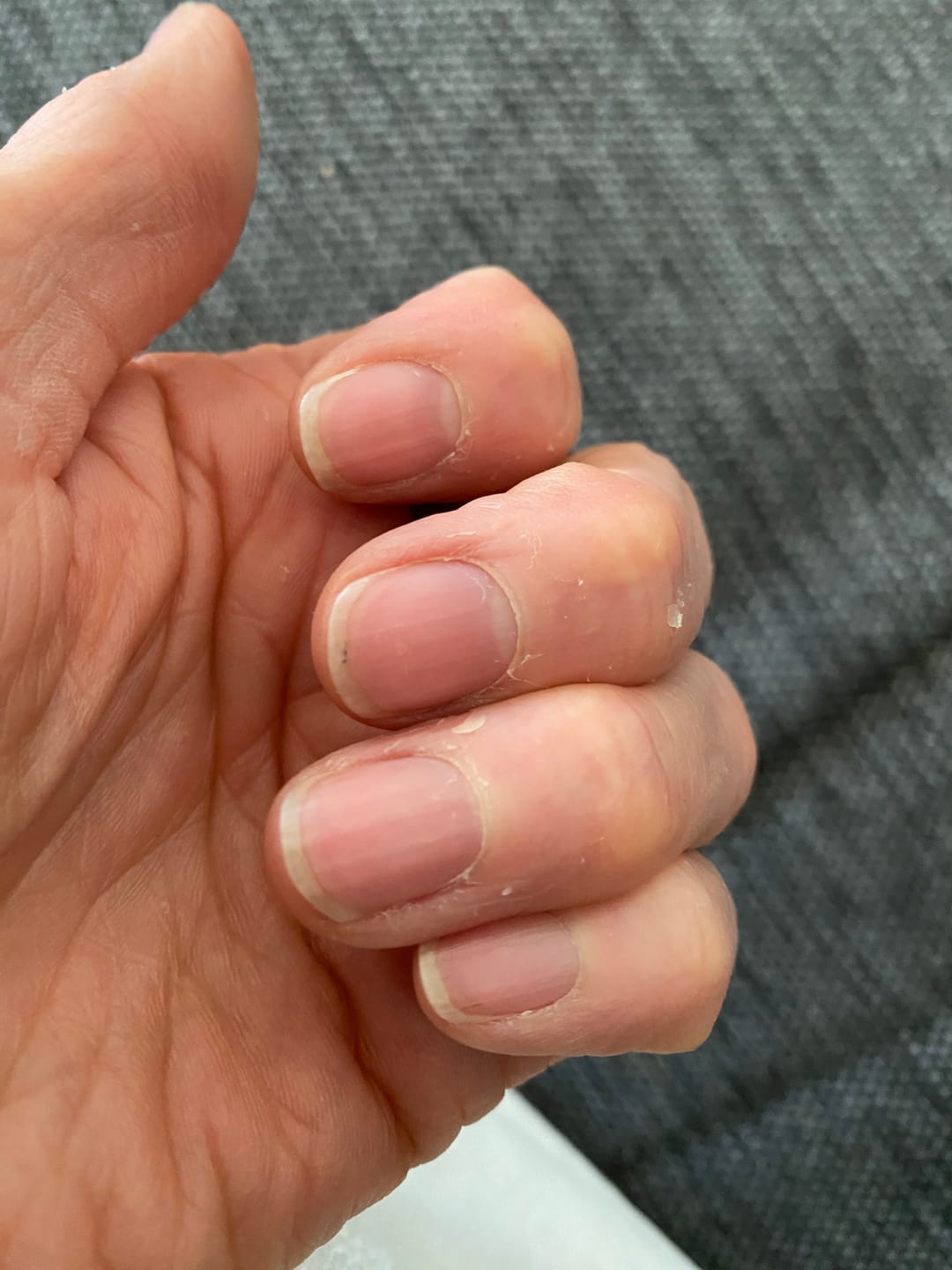 Customer photo review of Silky Sage Talivoide