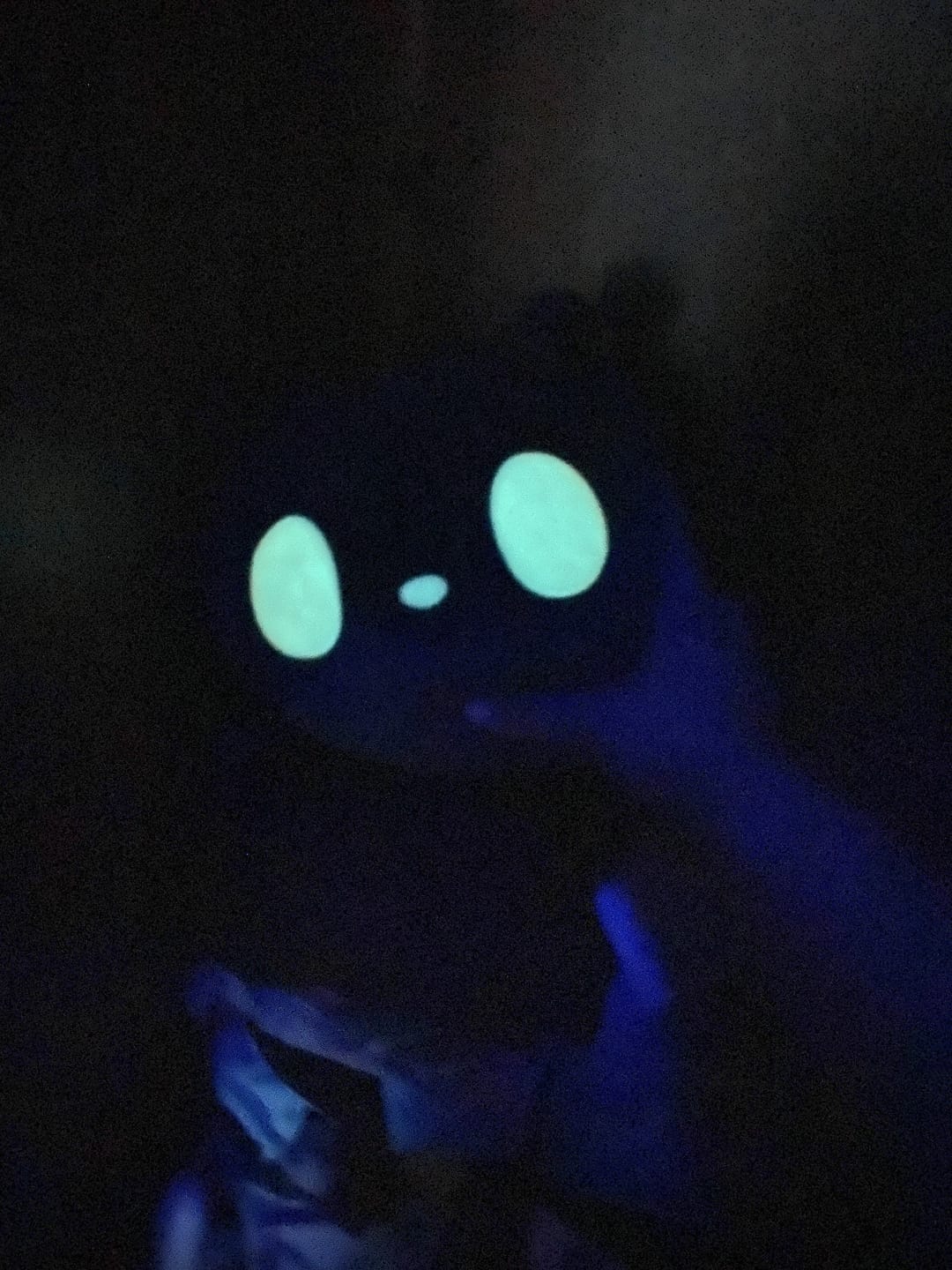 Customer photo review of Rain World - Watcher Slugcat Pillow Plush