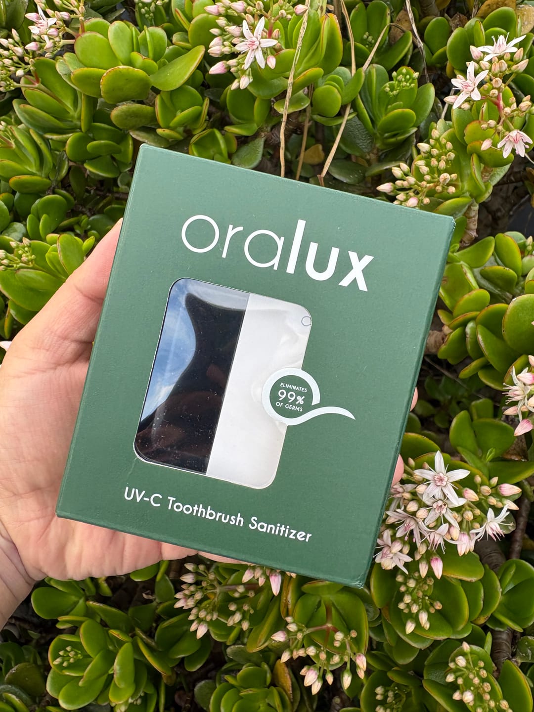 Customer photo review of Oralux UV Toothbrush Sanitizer