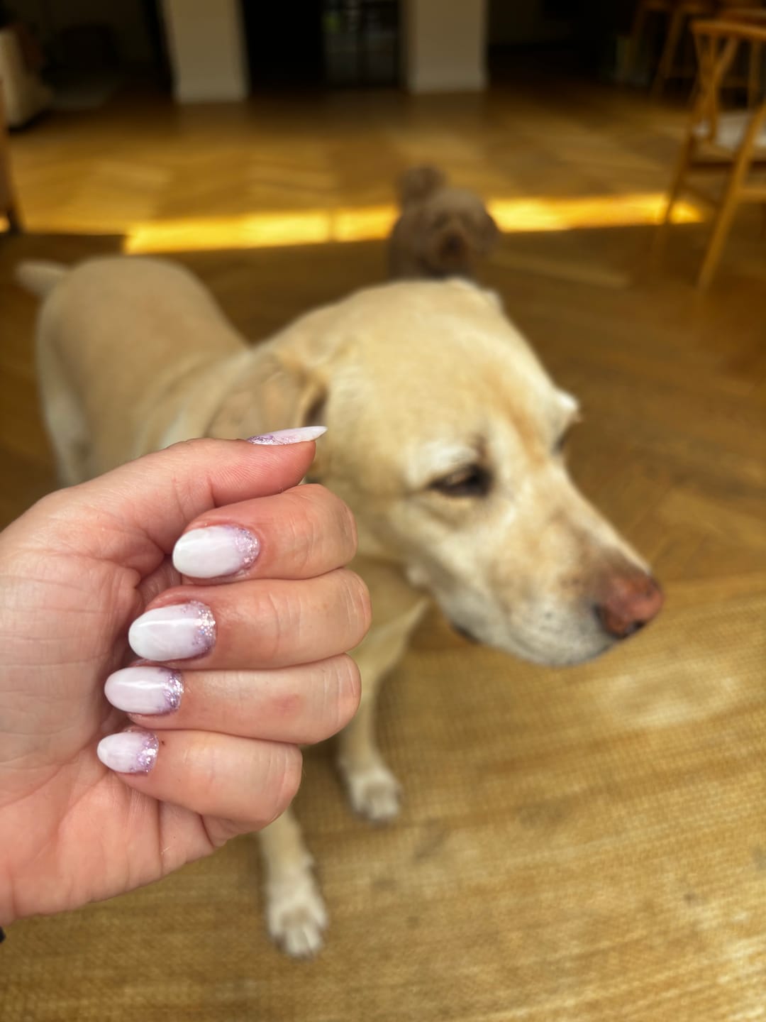 Customer photo review of Semilac Acrylgel Nail Form Almond 120 Pcs.
