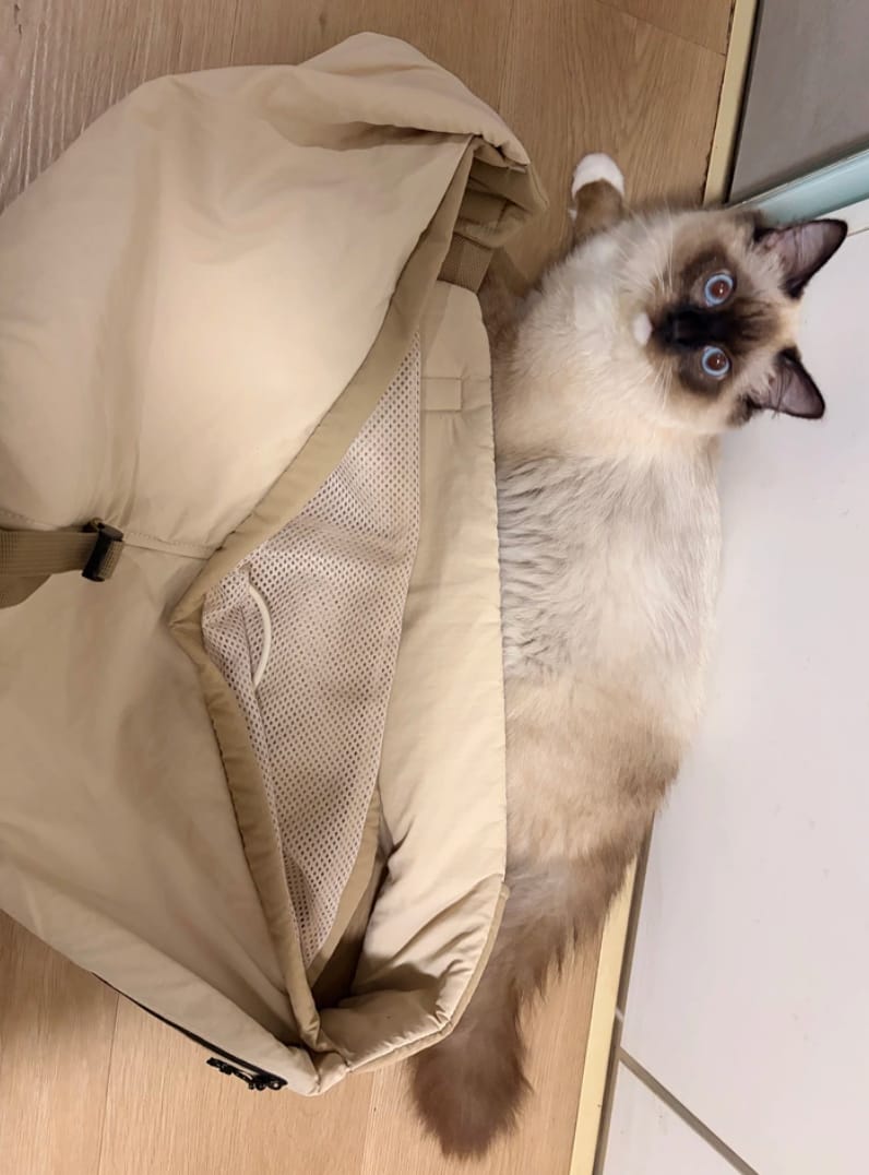 Customer photo review of Ergonomic Portable Hands-Free Pet Sling Carrier