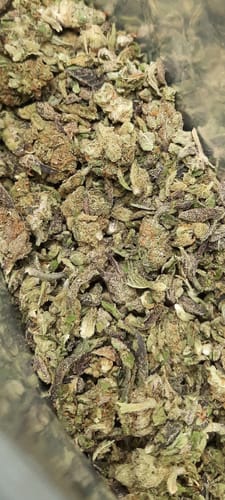 Customer photo review of Dank Work THCA Trim