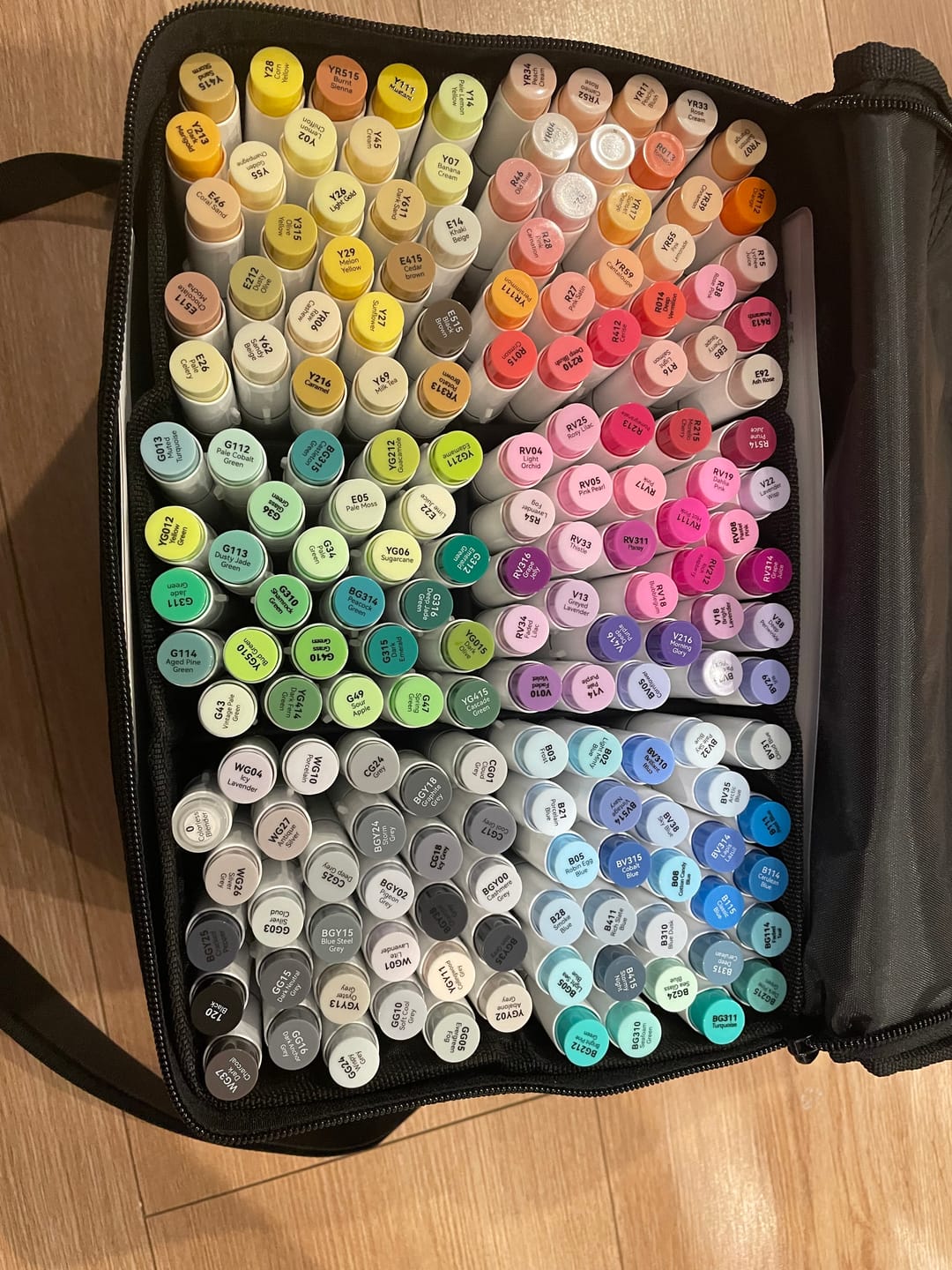 Customer photo review of Ohuhu Honolulu 168 Colors Dual Tips Alcohol Art Markers (New Color Codes)