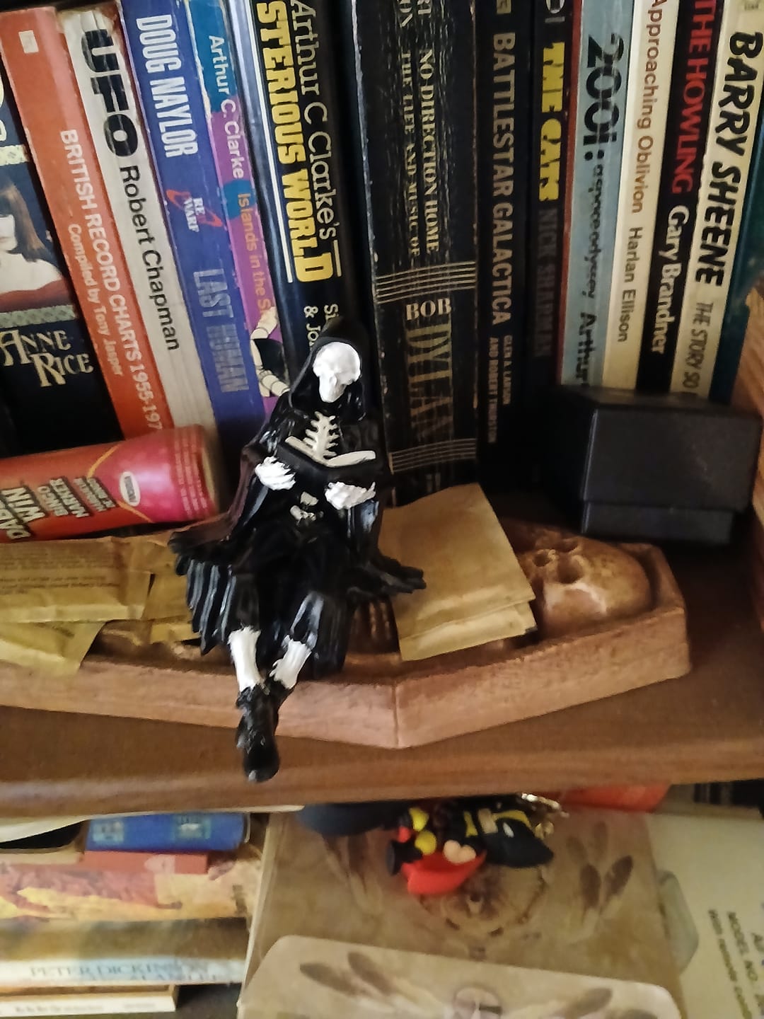 Customer photo review of Gothic Dark Fantasy Figure