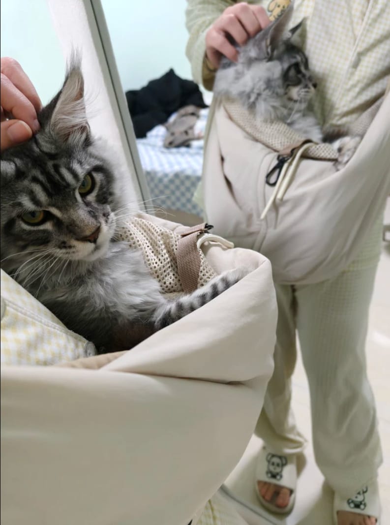 Customer photo review of Ergonomic Portable Hands-Free Pet Sling Carrier
