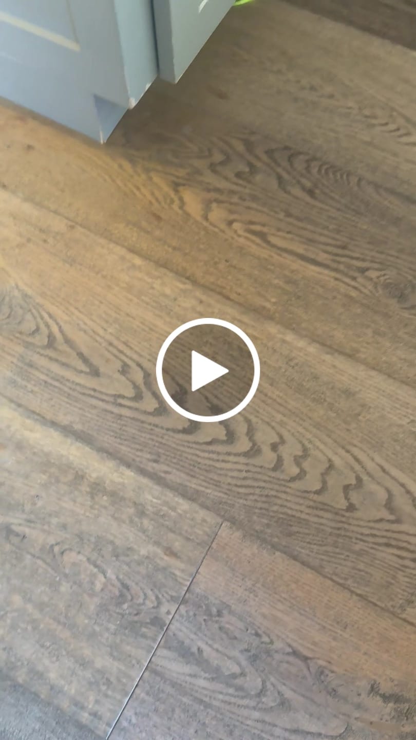 Customer video review of SPEEDY TAIL 2.0