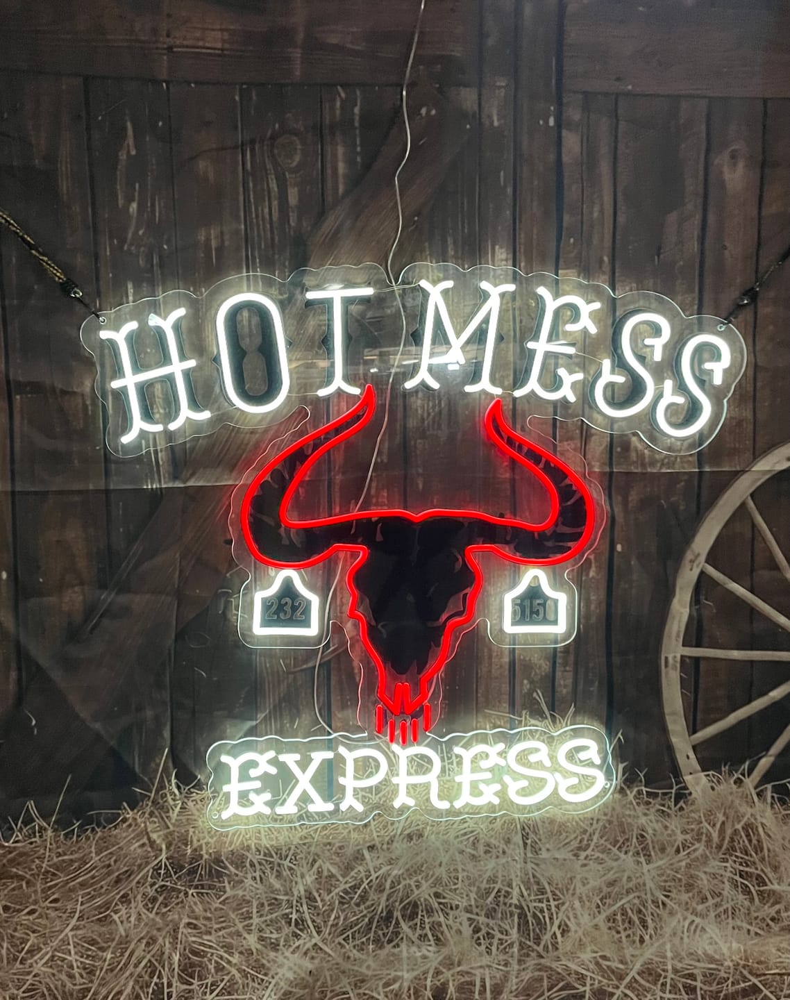 Customer photo review of HOT MESS EXPRESS - Premium Neon Artwork