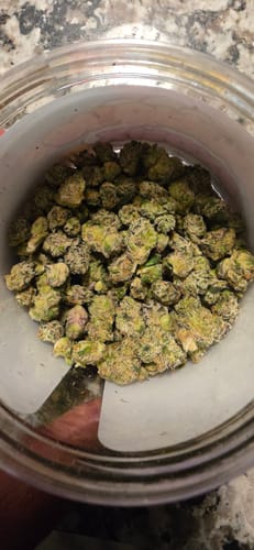 THCA Flower - Italian Ice photo review