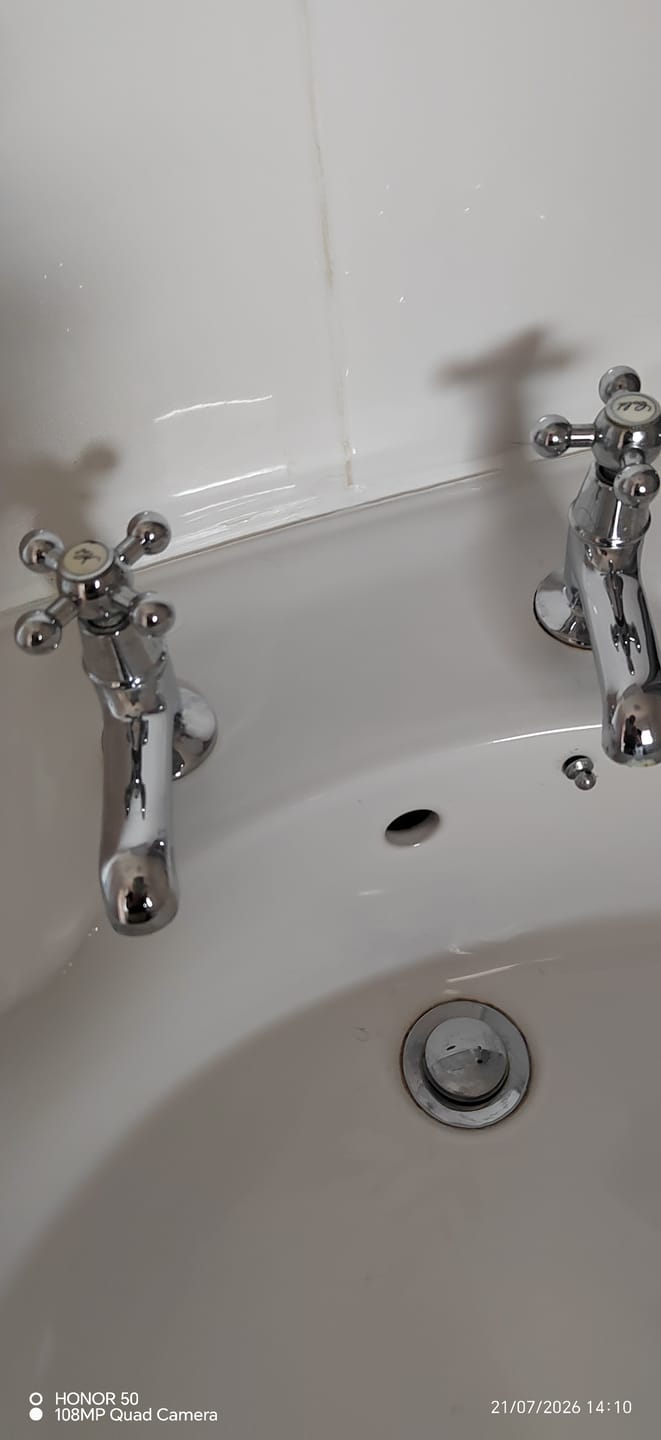 Customer photo review of Genie Room Cleaner