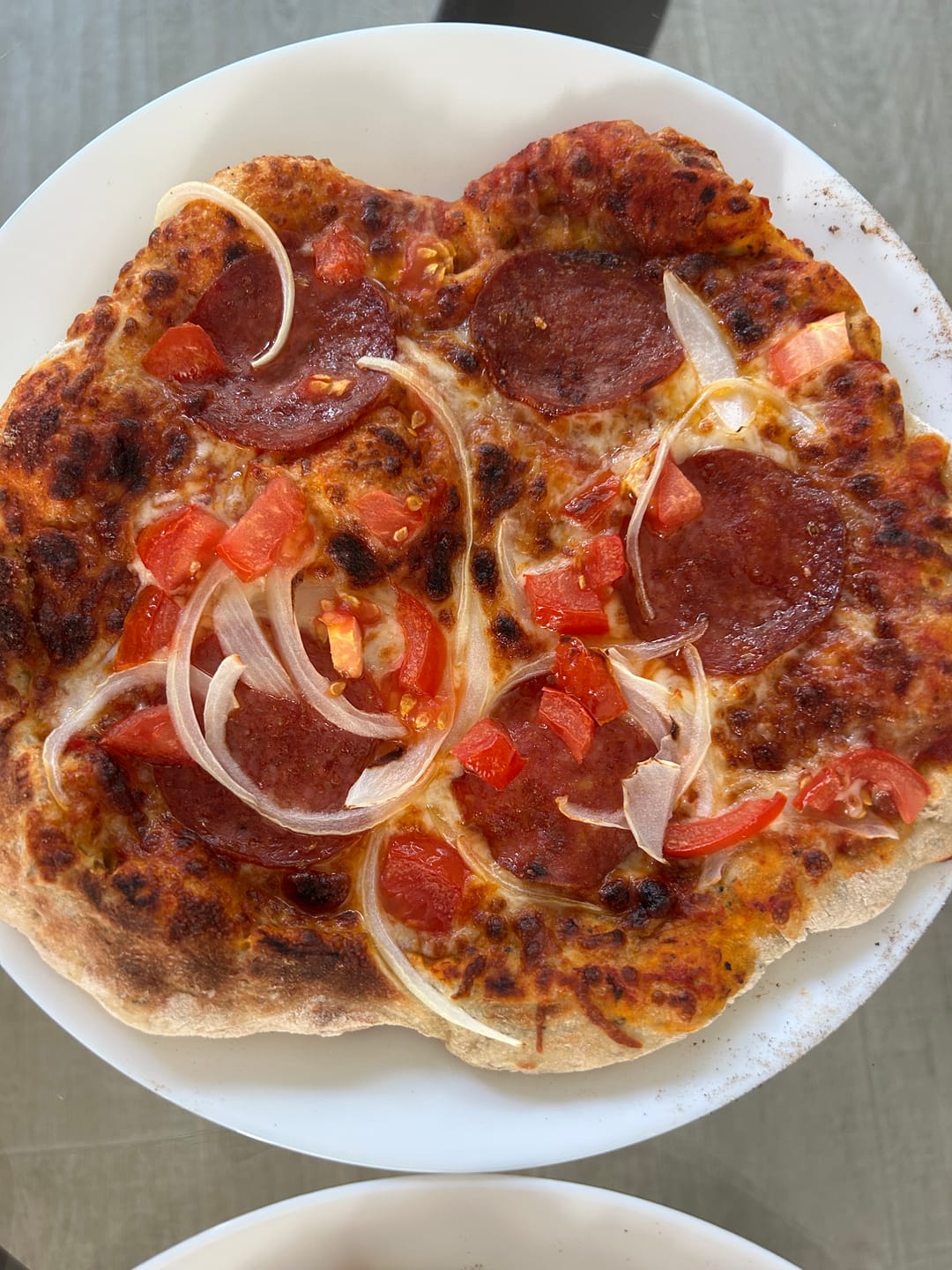 Customer photo review of 1500℉ Portable Infrared Steak Grill with Pizza Stone, Stainless Steel- 16 Inch