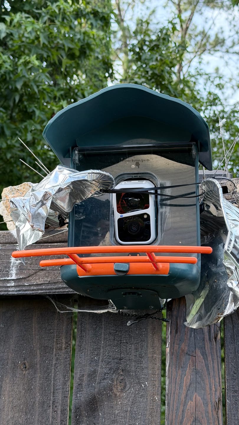 Customer photo review of Squirrel Proof Mesh, compatible with P53n, TUC, PAV