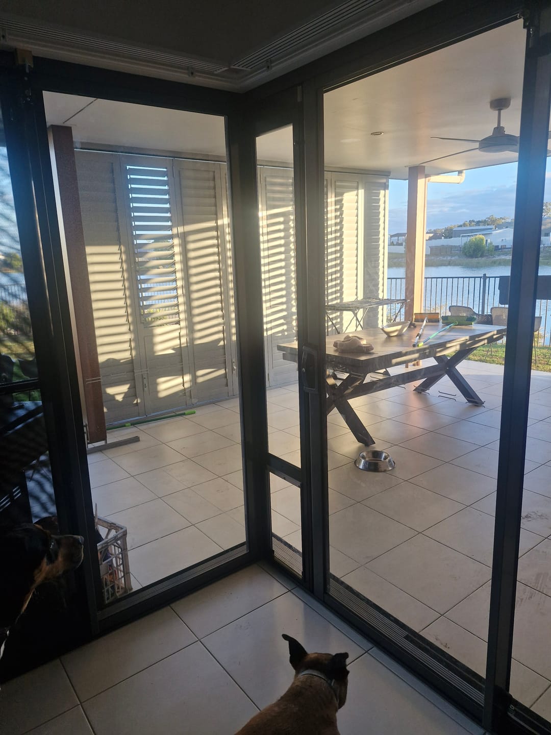 Customer photo review of Pet Door Inserts